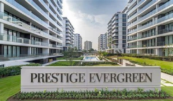 Featured Image of Prestige Evergreen